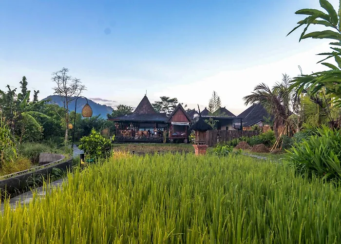 Resort Anandinii By Agata 4*